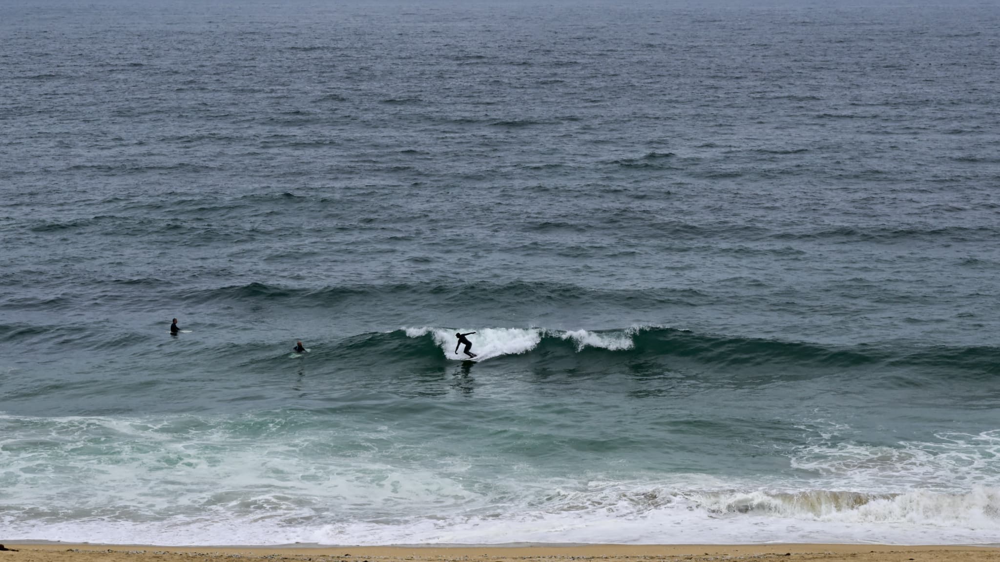 Tragedia in California: una triatleta divorata da u squalu